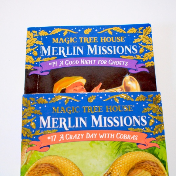 Magic Tree House Merlin Missions Book Set - Picture 6 of 10